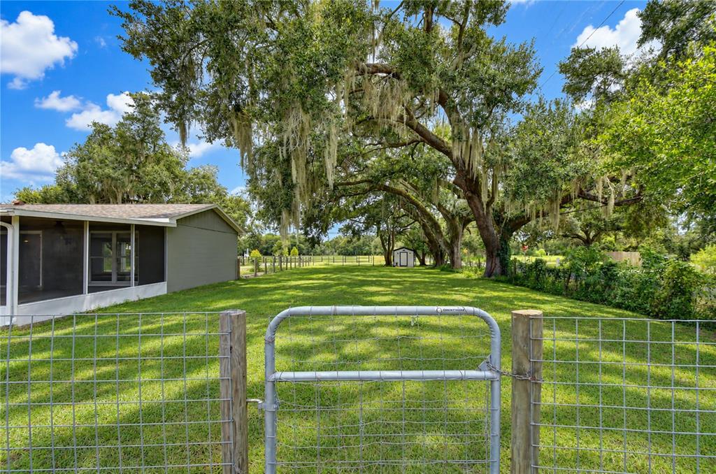 3712 GALLAGHER ROAD, PLANT CITY, FL — photo 5 of 30