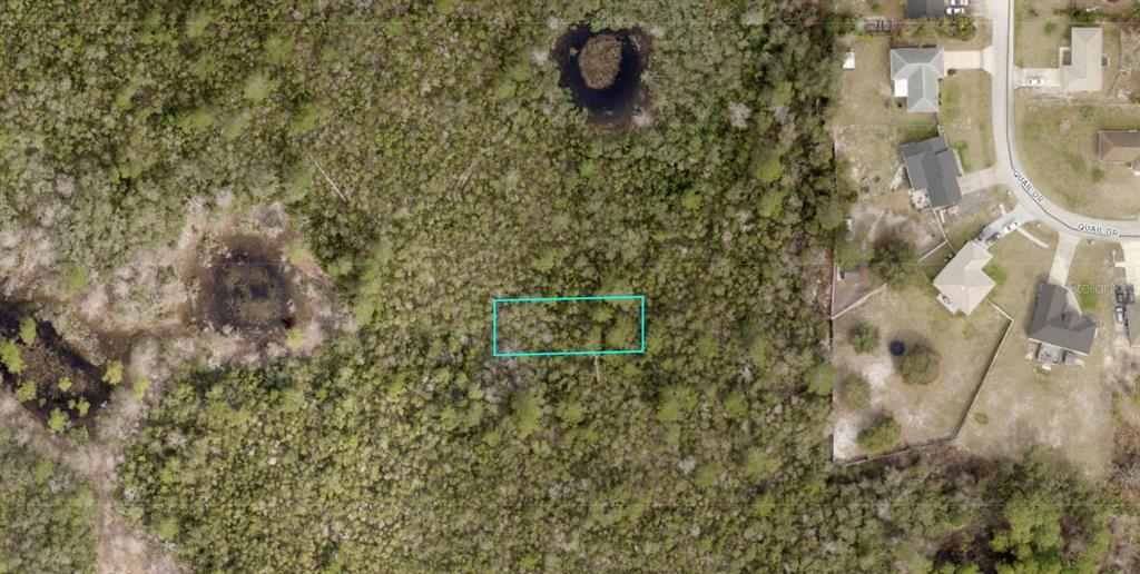 EVELYN (PAPER) STREET, DELTONA, FL — photo 2 of 3