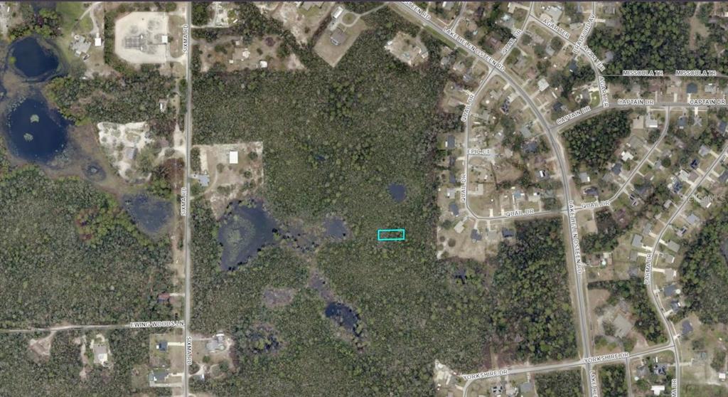EVELYN (PAPER) STREET, DELTONA, FL — photo 3 of 3