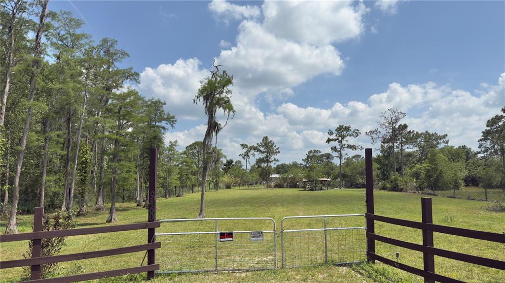 A fenced, grassy lot features a metal gate and a line of tall trees — 9460 ATLANTA DRIVE, ST CLOUD, FL