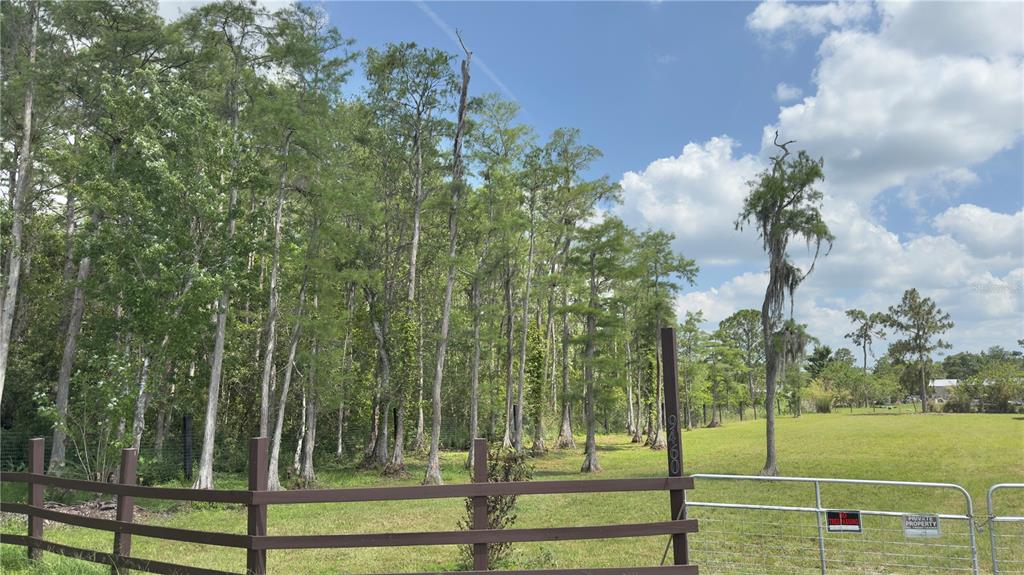 A brown wooden fence borders a grassy lot with a dense stand of cypress trees — 9460 ATLANTA DRIVE, ST CLOUD, FL