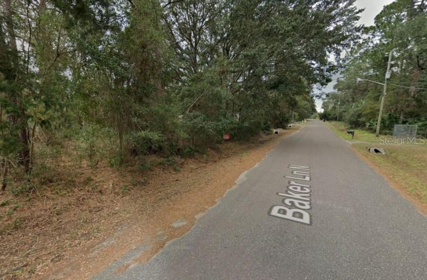 A paved road runs alongside a wooded lot with dense trees and vegetation — N BAKER LANE, JACKSONVILLE, FL