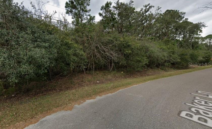 A view of a densely wooded, undeveloped lot bordering a paved road — N BAKER LANE, JACKSONVILLE, FL