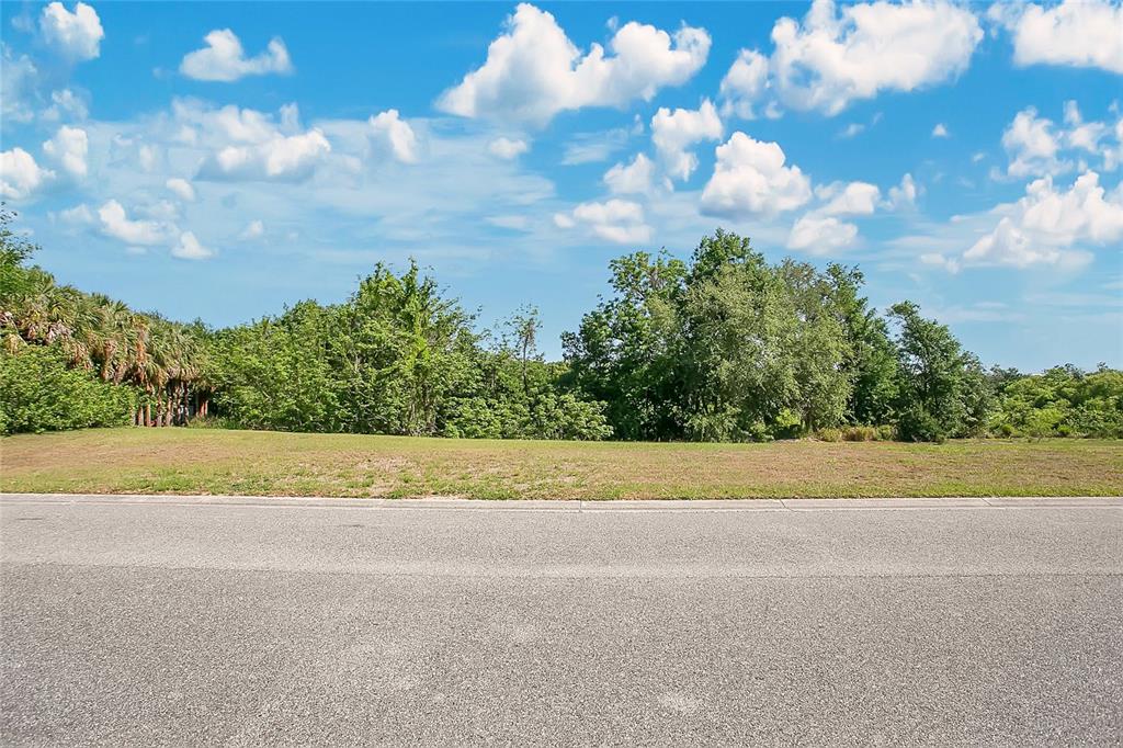 A paved road runs in front of a vacant, grassy lot backed by dense trees — 1661 ROBERTS LANDING ROAD, WINDERMERE, FL