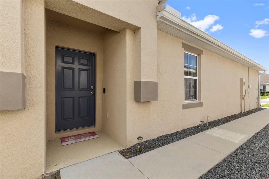 A tan stucco house exterior features a dark gray front door and a concrete walkway — 17784 TURNING LEAF CIRCLE, LAND O LAKES, FL
