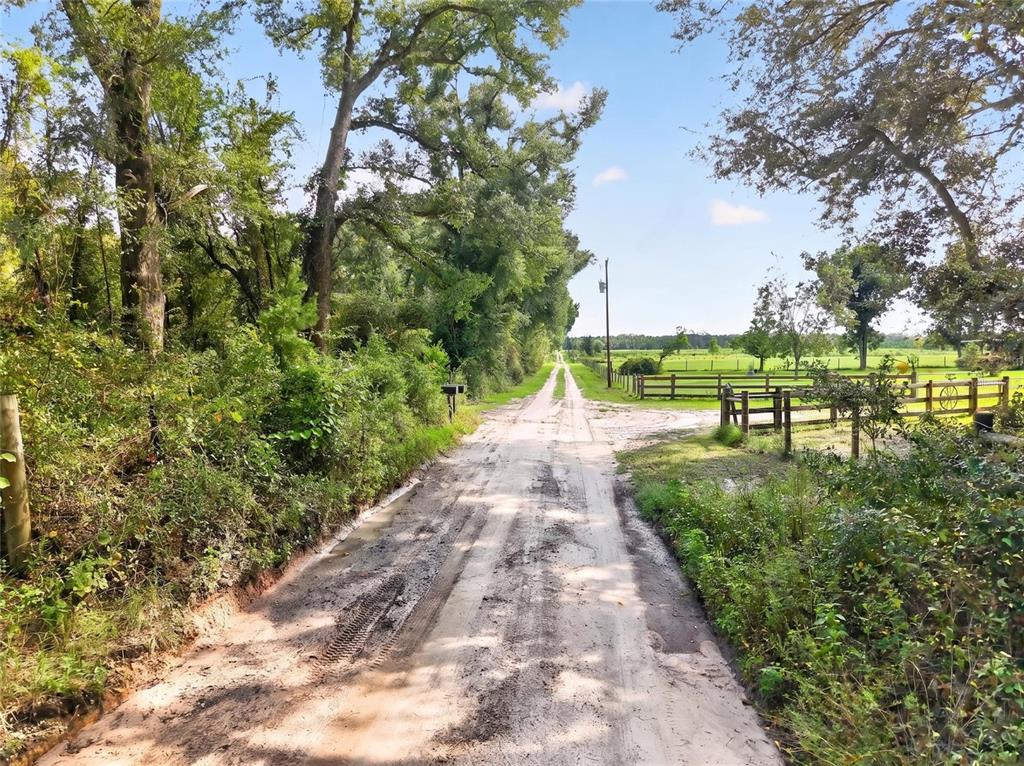 0 173RD RD, LIVE OAK, FL — photo 5 of 20