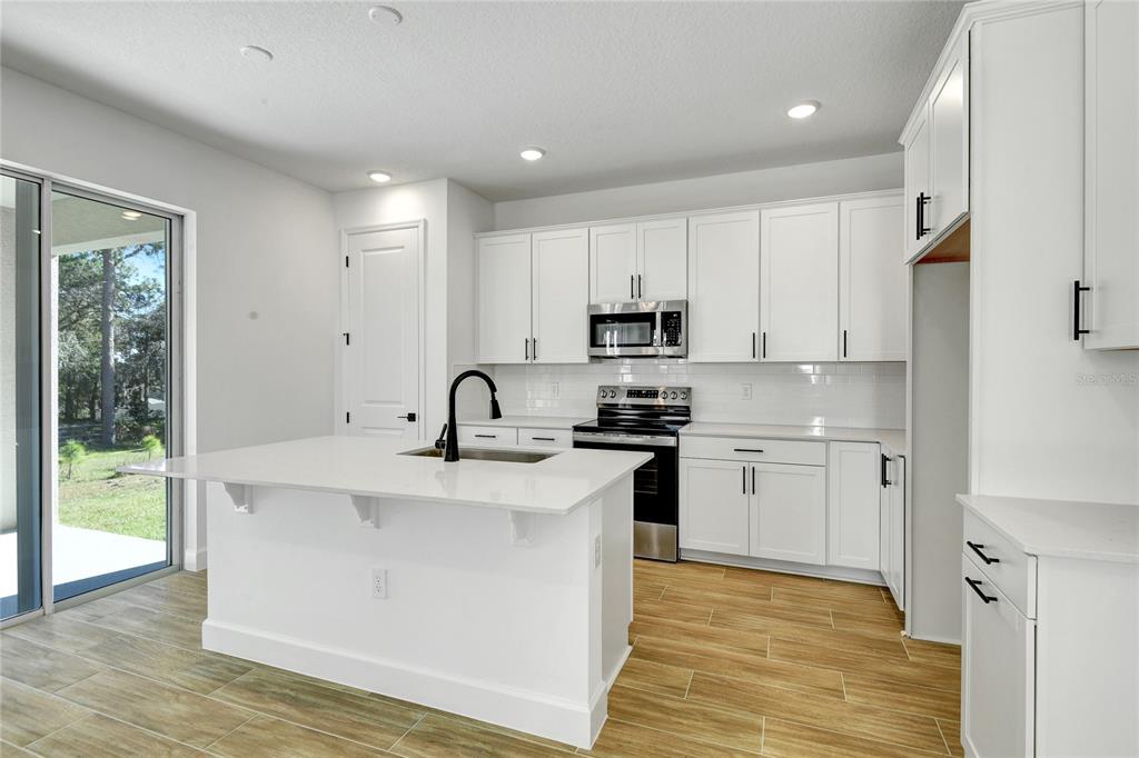 A modern kitchen features white cabinetry, a central island with a sink, and wood-look flooring — 1010 CLOUD RIDGE COURT, MOUNT DORA, FL