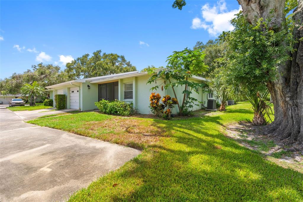 A light green single-story duplex with a concrete driveway and a large tree nearby — 2833 ORANGE TREE CIRCLE N UNIT A, PALM HARBOR, FL