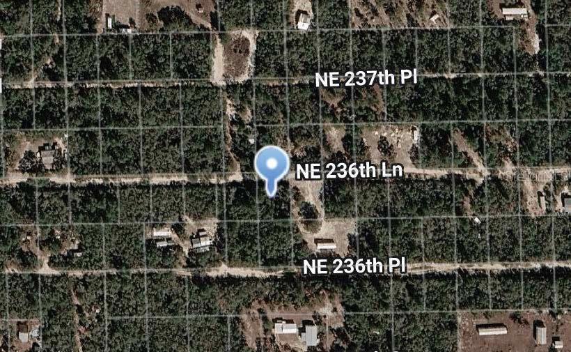 This is an aerial map view showing a wooded residential area with dirt roads — NE 236TH LANE, FORT MC COY, FL