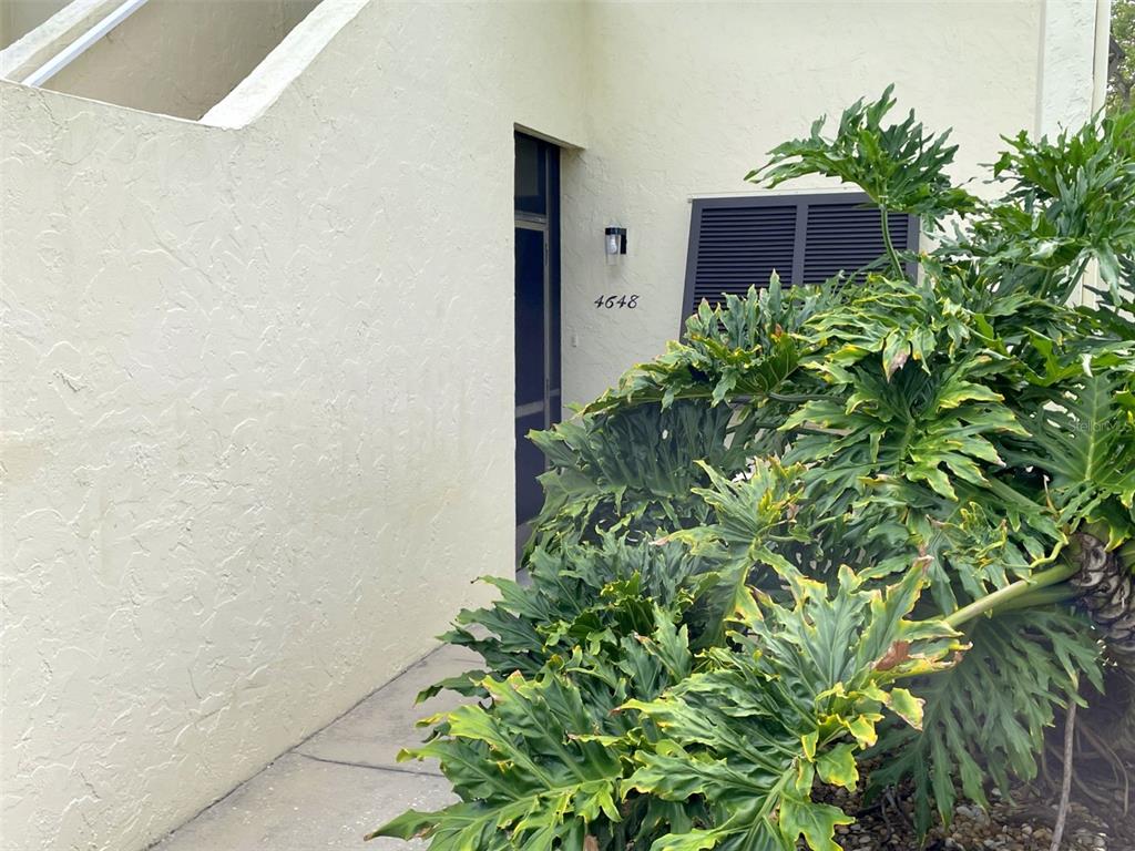 A cream-colored building exterior features a dark entryway with the number 4648 and large foliage — 4648 LONGWATER CHASE UNIT 99, SARASOTA, FL