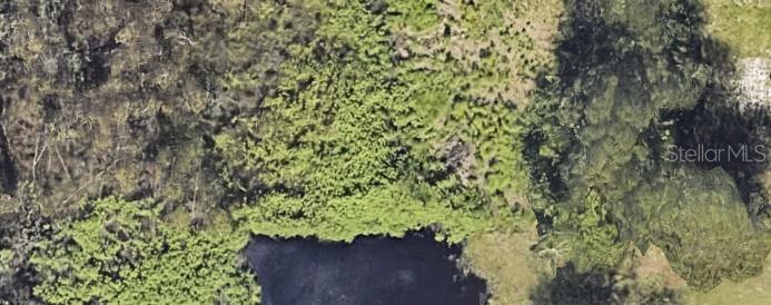 This is an aerial view of a wooded lot with a small pond — OLD BARTOW EAGLE LAKE ROAD, BARTOW, FL