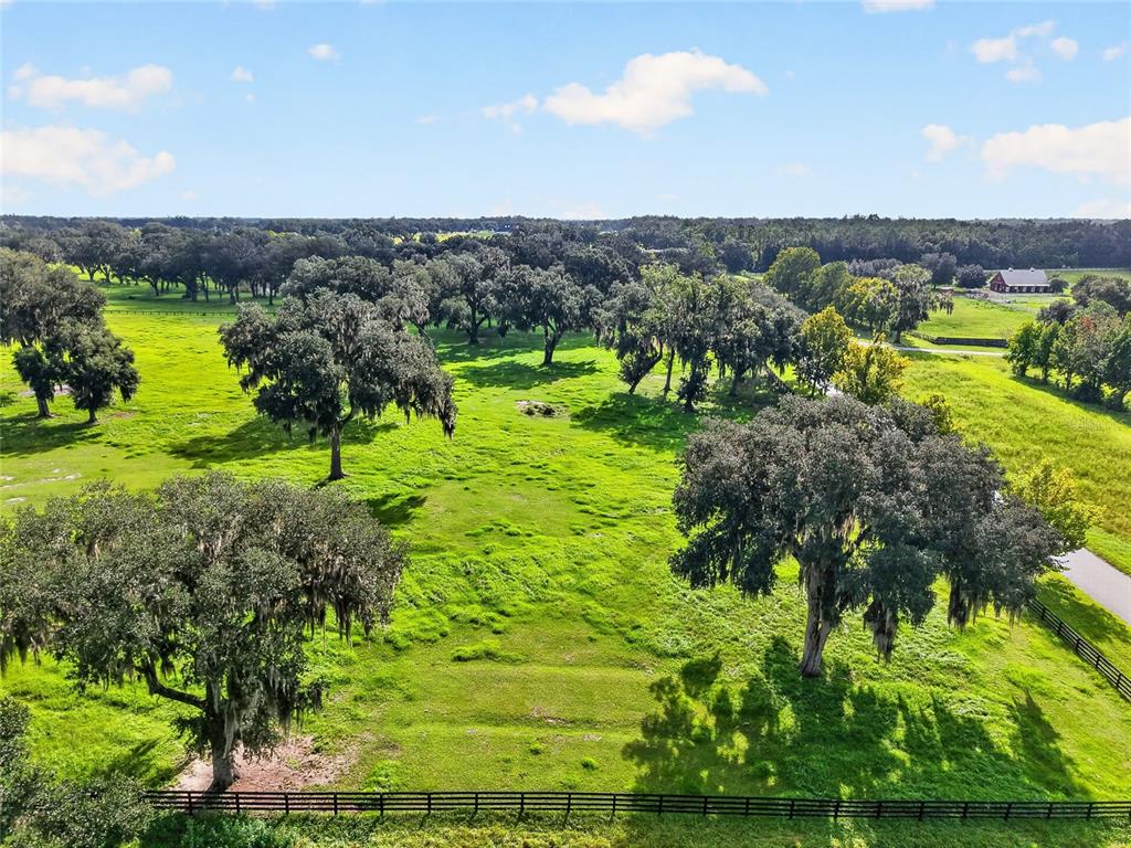 LOT 25 SE 159TH LANE, SUMMERFIELD, FL — photo 5 of 11