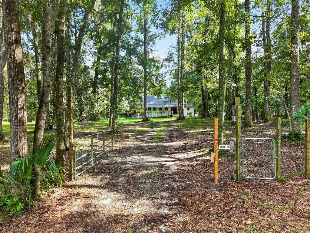 A dirt driveway leads through a wooded area to a house with a metal roof — 9350 NW 230 STREET, MICANOPY, FL