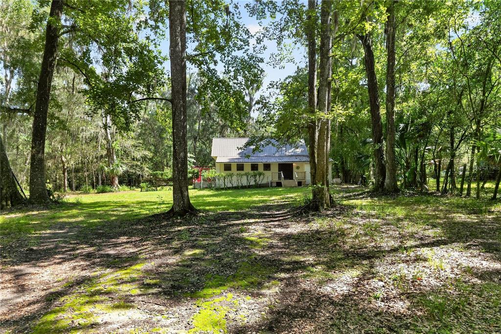 A small, light-colored house with a metal roof sits in a wooded, grassy yard — 9350 NW 230 STREET, MICANOPY, FL