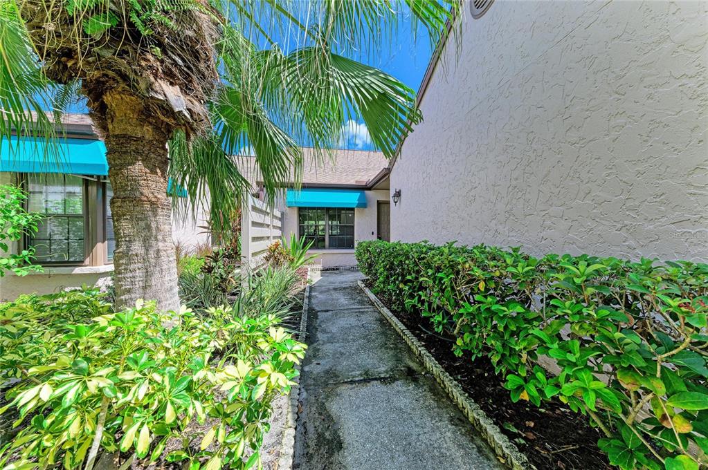 A concrete walkway leads to a house entrance flanked by a palm tree and hedges — 6085 CLUBSIDE DRIVE, SARASOTA, FL