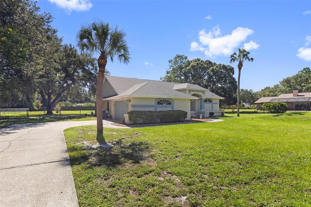 A single-story house with a beige exterior, a gray shingled roof, and a concrete driveway — 17269 RAINTREE ROAD, LUTZ, FL
