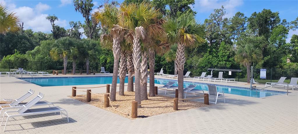 A swimming pool area features lounge chairs, palm trees in a gravel bed, and fencing — 1681 RED LOOP, LAKELAND, FL