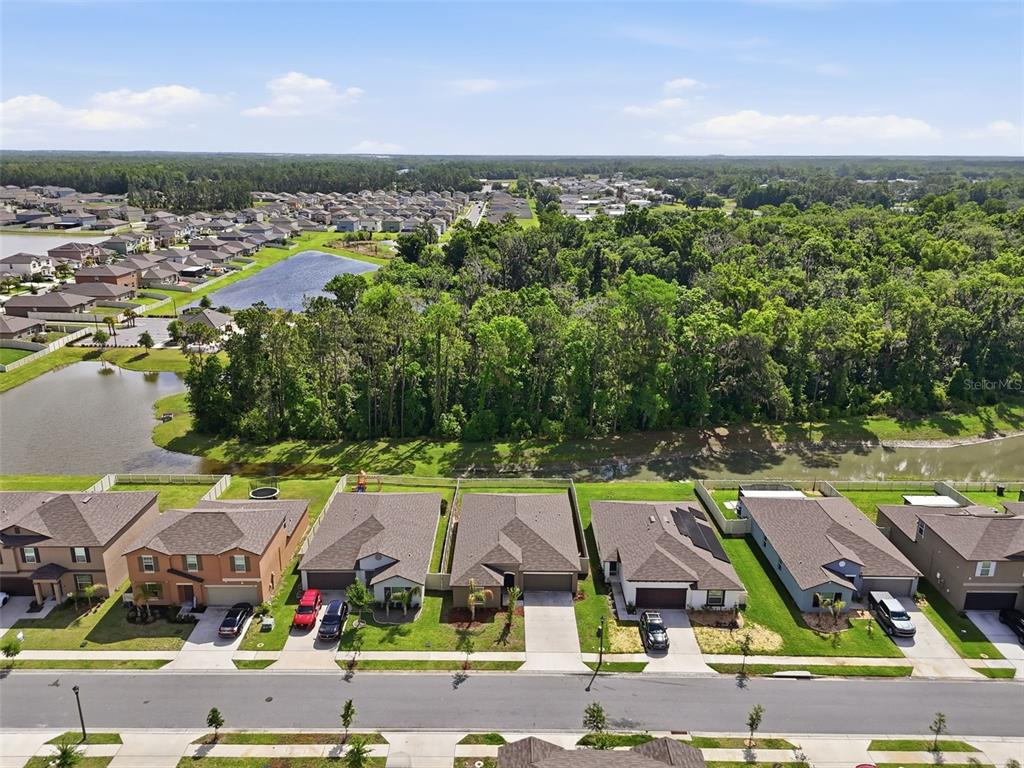 An aerial view shows a row of suburban houses bordering a pond and wooded area — 1681 RED LOOP, LAKELAND, FL