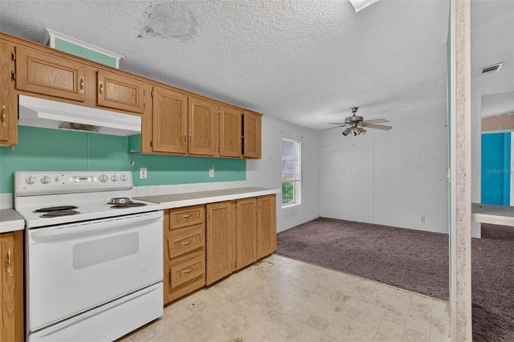 16080 SE 128 TERRACE, WEIRSDALE, FL — photo 4 of 24