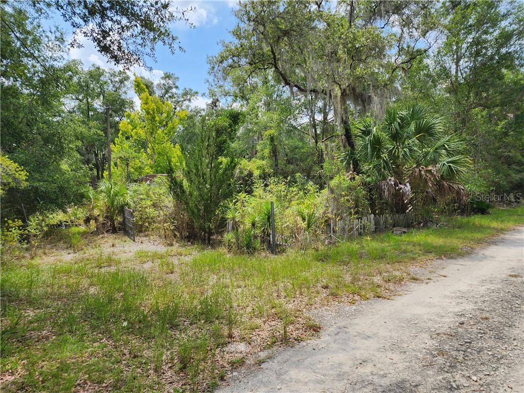 11335 N Ginny Lane POINT, INGLIS, FL — photo 2 of 13