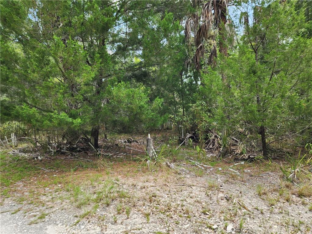11335 N Ginny Lane POINT, INGLIS, FL — photo 3 of 13