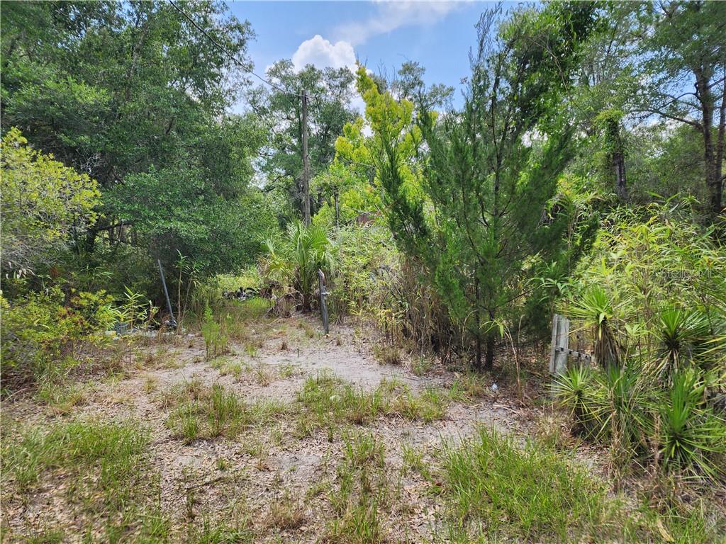 11335 N Ginny Lane POINT, INGLIS, FL — photo 4 of 13