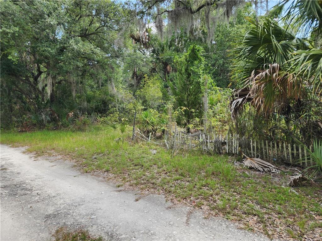 11335 N Ginny Lane POINT, INGLIS, FL — photo 5 of 13