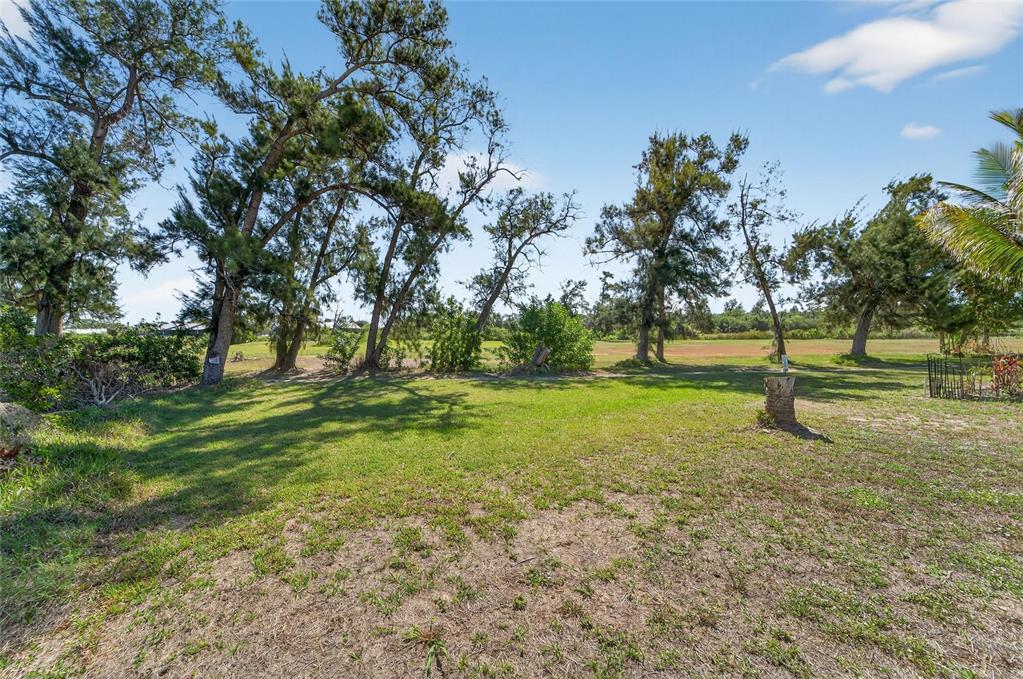 A grassy yard with scattered pine trees and a tree stump under a blue sky — 806 GREENVIEW DRIVE, APOLLO BEACH, FL