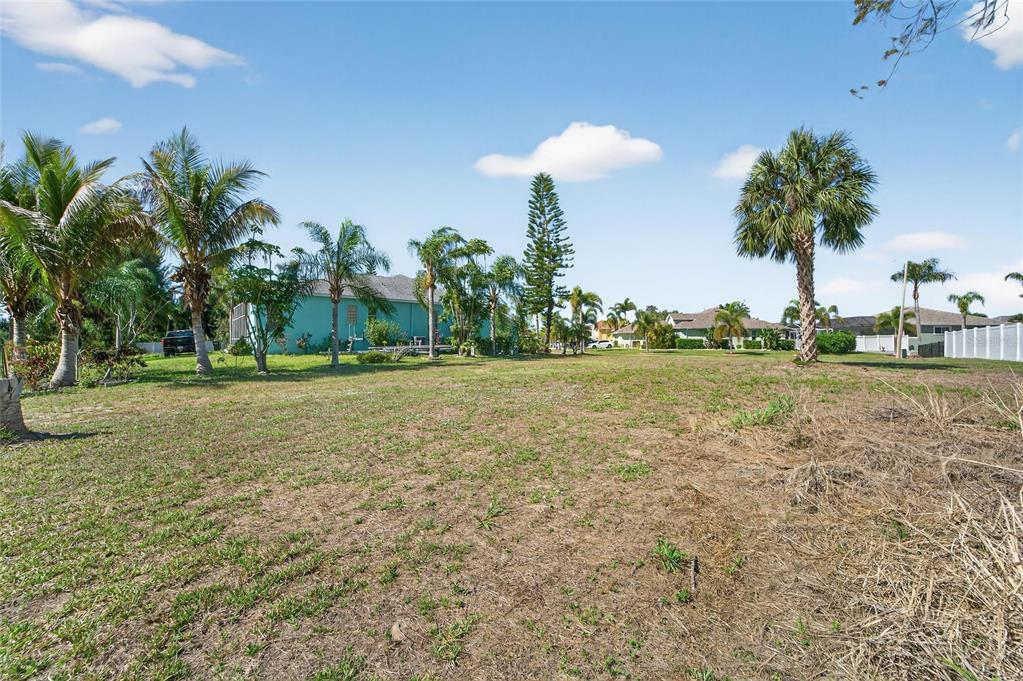 A large, grassy vacant lot features several palm trees and a neighboring teal house — 806 GREENVIEW DRIVE, APOLLO BEACH, FL