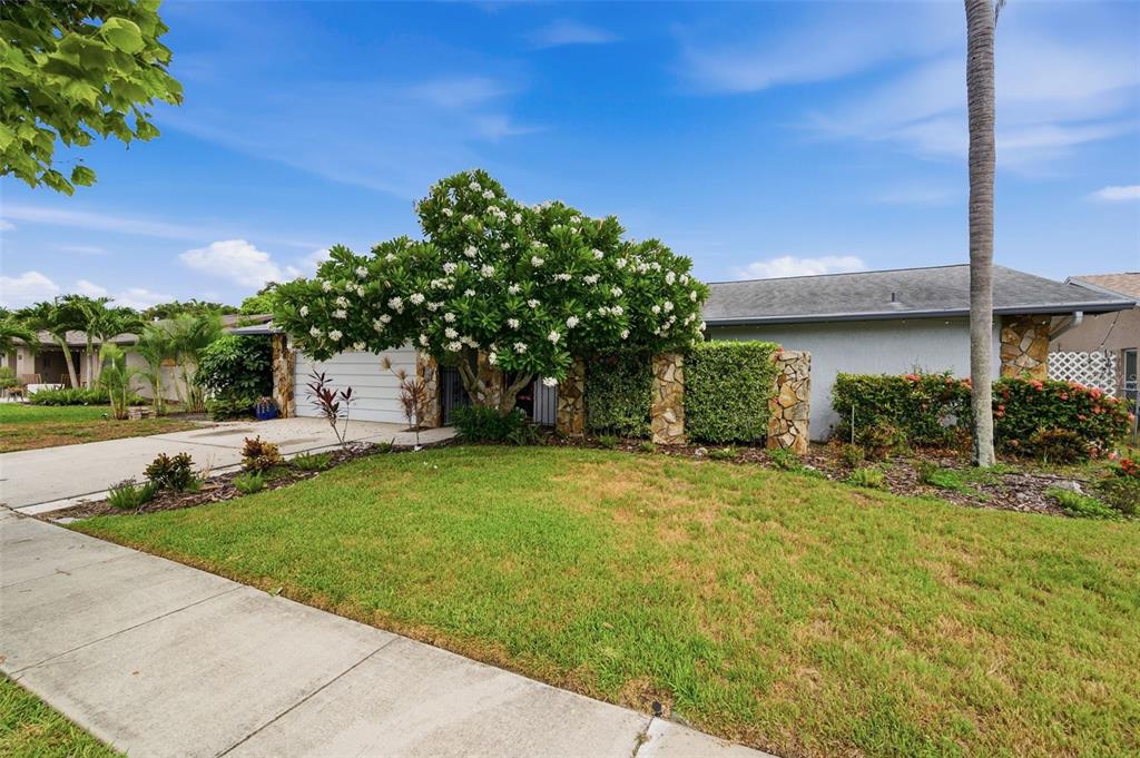 A single-story house with a white garage, stone accents, and a large flowering tree — 10744 97TH STREET, LARGO, FL
