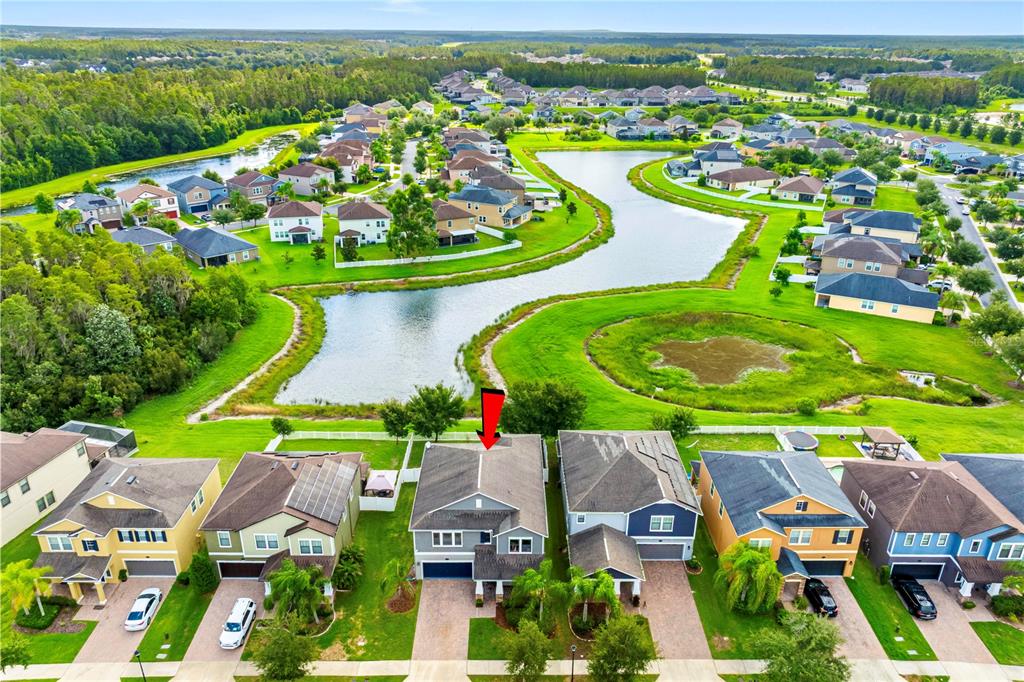 An aerial view shows a suburban neighborhood with houses surrounding a central pond — 19343 PADDOCK VIEW DRIVE, TAMPA, FL