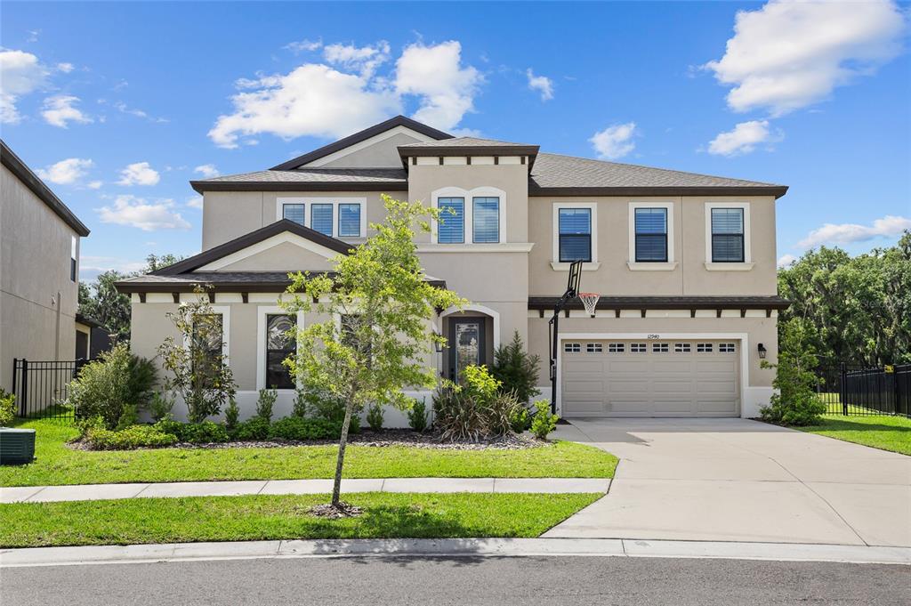 12940 STEED TRACE LOOP