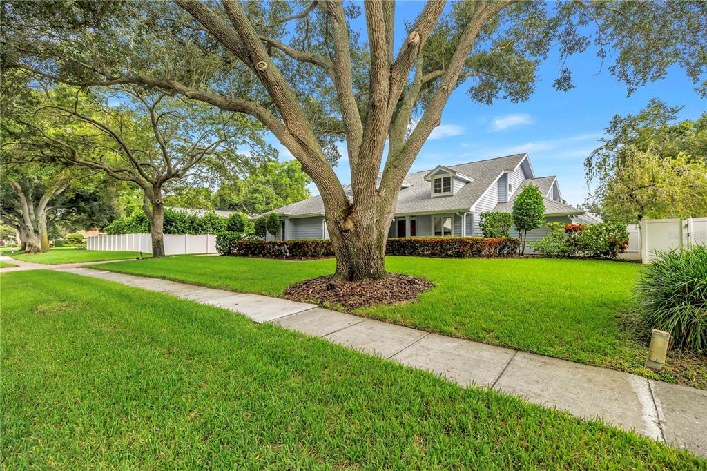 A large house with a gray roof and siding sits behind a prominent front yard tree — 12383 WINDTREE BOULEVARD, SEMINOLE, FL