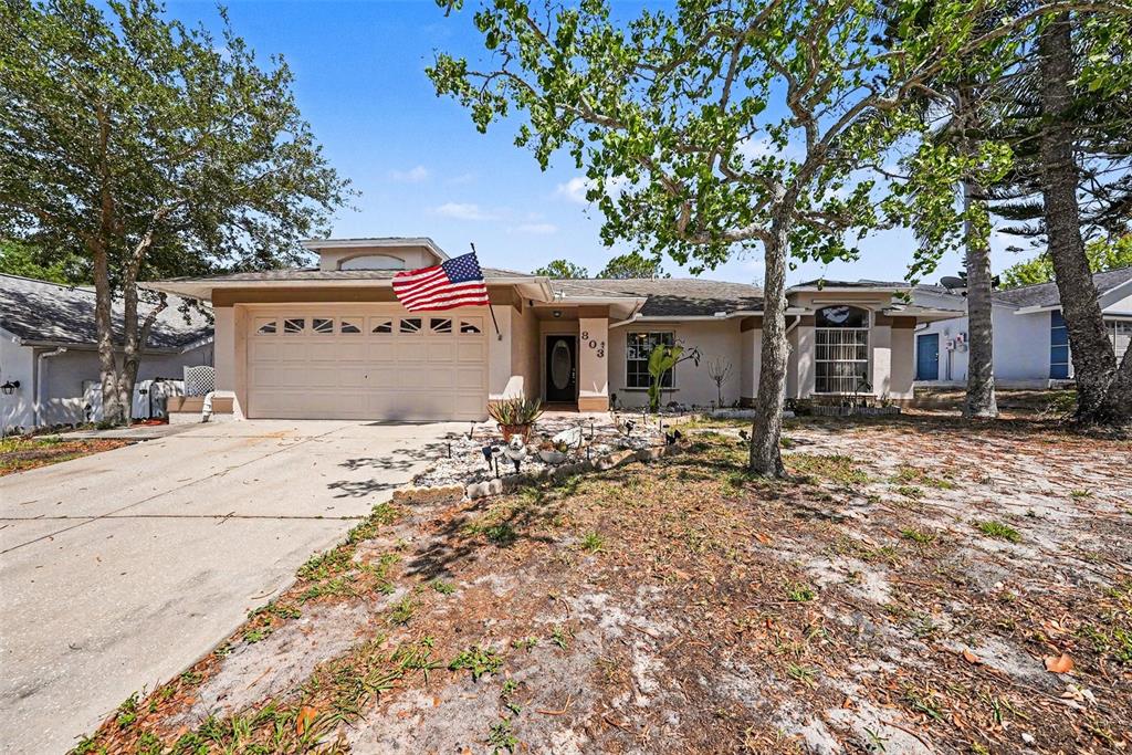 803 HIGH POINT COURT