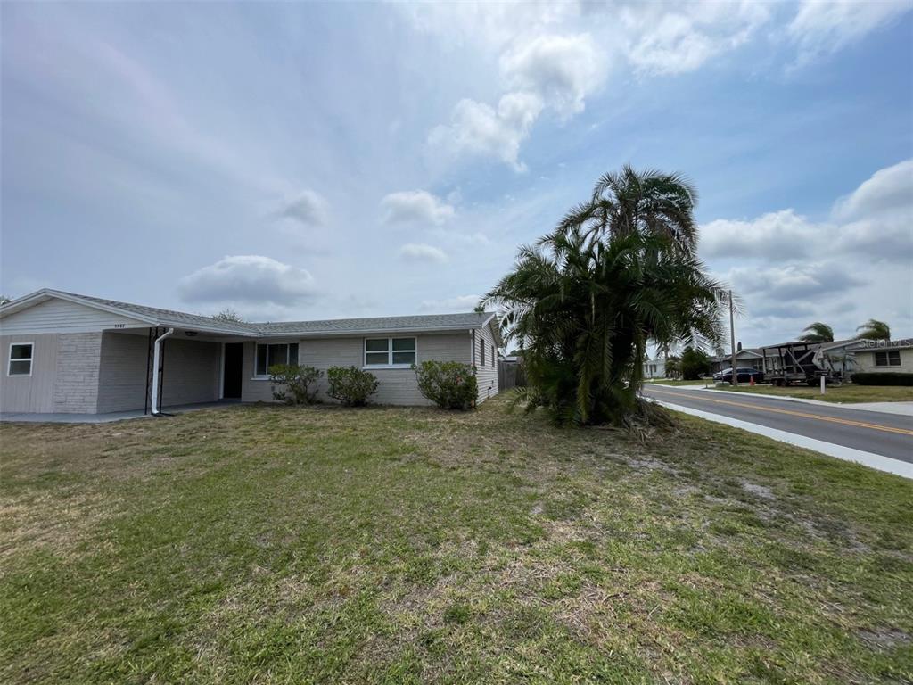 A single-story house with light-colored siding and a palm tree in the front yard — 2702 DRUID PLACE, HOLIDAY, FL
