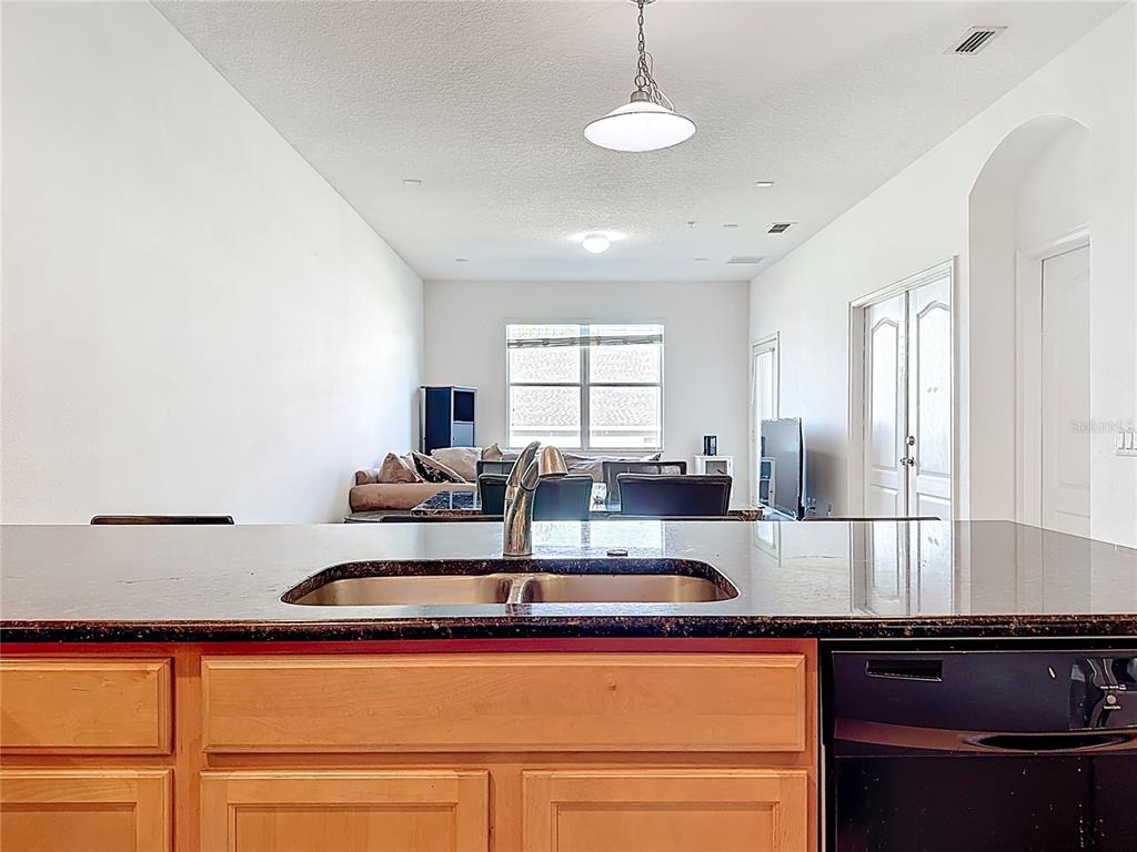 A kitchen island with a double sink overlooks a living area with a sofa — 1991 SWITCH GRASS CIRCLE, OCOEE, FL