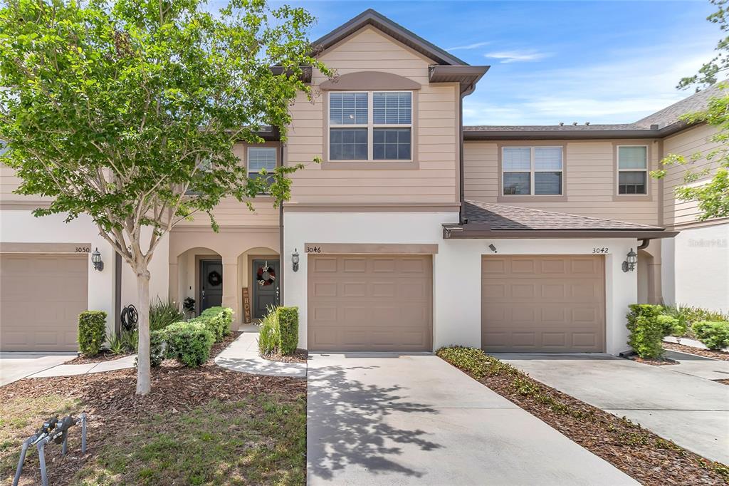 3046 ALESSA LOOP