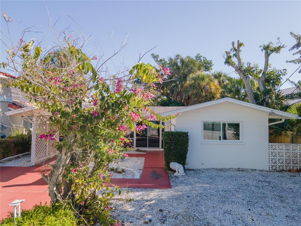 A white single-story house features a red walkway, a flowering tree, and gravel landscaping — 2316 CANASTA DRIVE, BRADENTON BEACH, FL