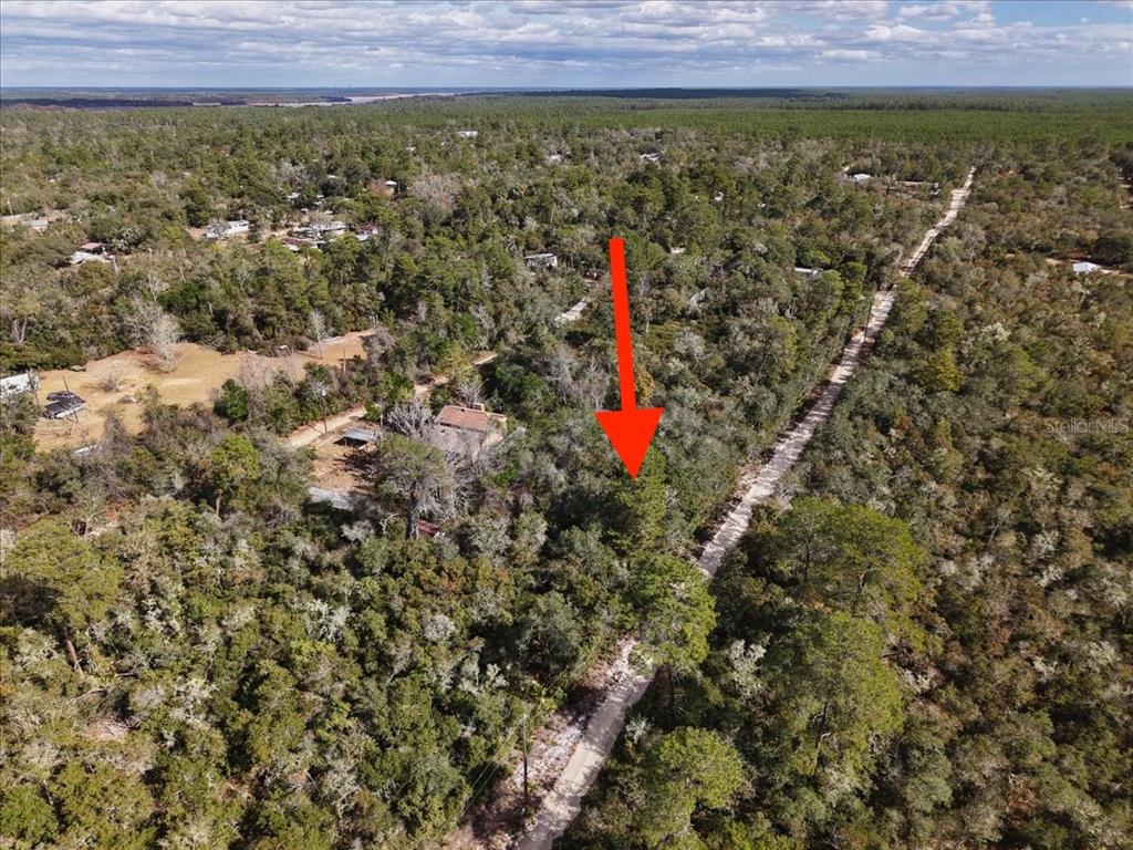 An aerial view shows a wooded lot with a red arrow pointing toward the property — NE 233RD LANE, FORT MC COY, FL