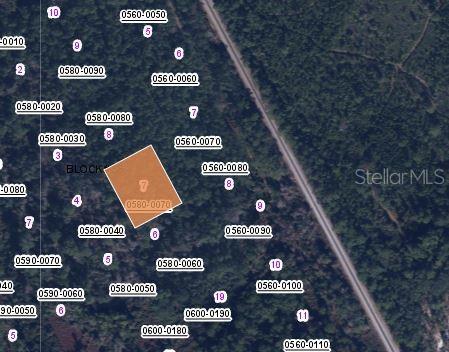 This is a map showing a highlighted parcel of land in a wooded area — 426 MADISON STREET, SATSUMA, FL