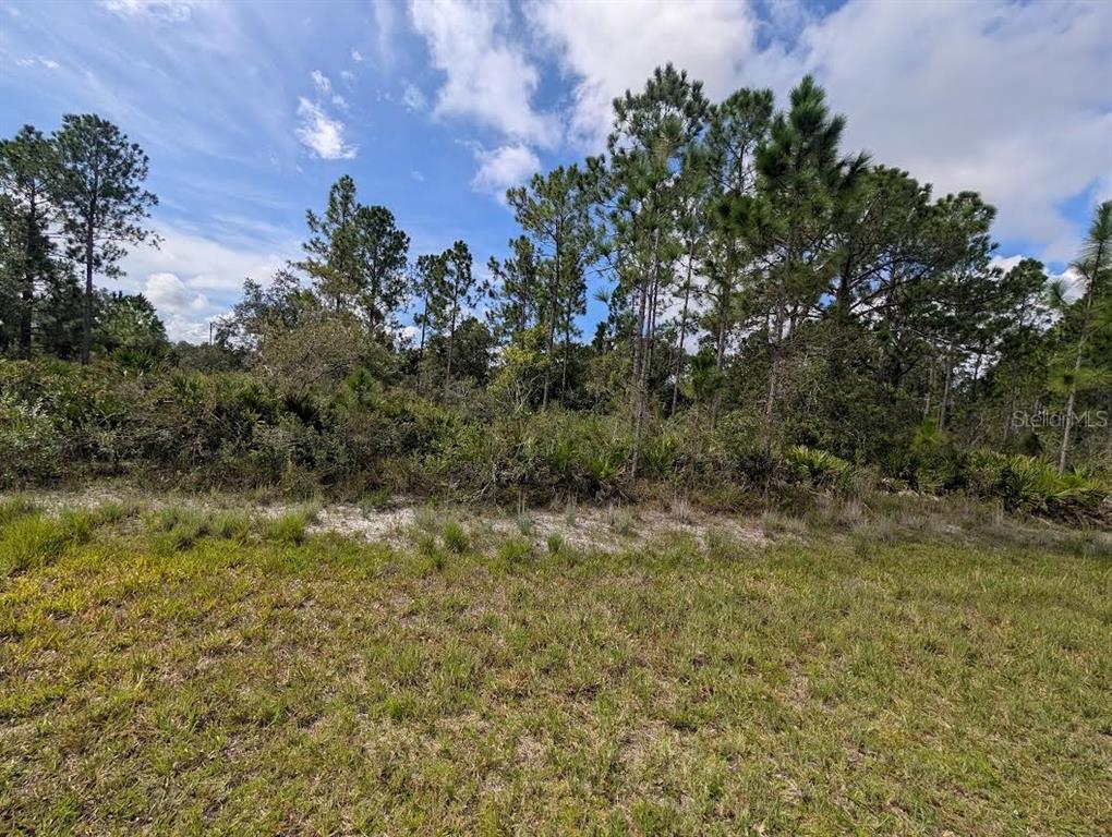 A grassy lot features a sandy clearing in front of a dense line of trees — OLEANDER DRIVE, INDIAN LAKE ESTATES, FL