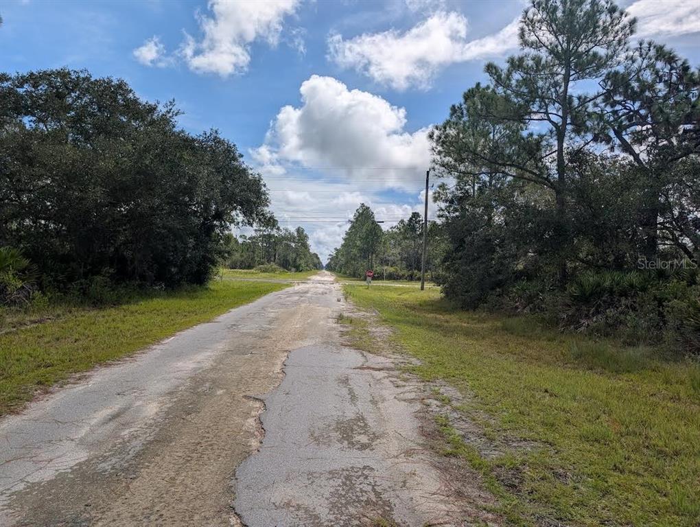 A weathered asphalt road stretches through a rural, wooded area under a cloudy blue sky — OLEANDER DRIVE, INDIAN LAKE ESTATES, FL