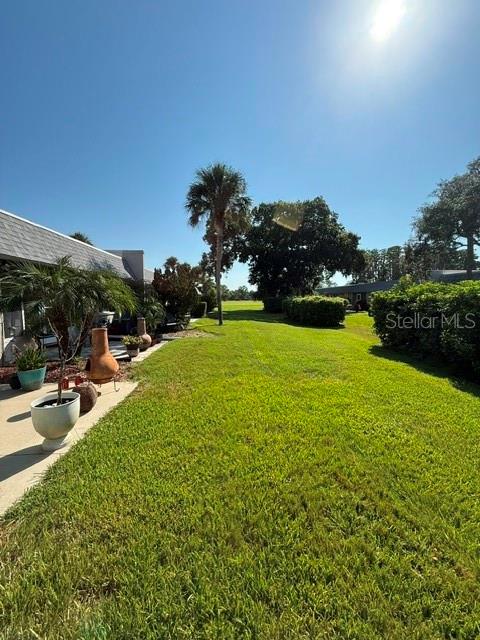 A grassy yard extends from a patio toward trees under a bright sun — 3444 TROPHY BOULEVARD, NEW PORT RICHEY, FL