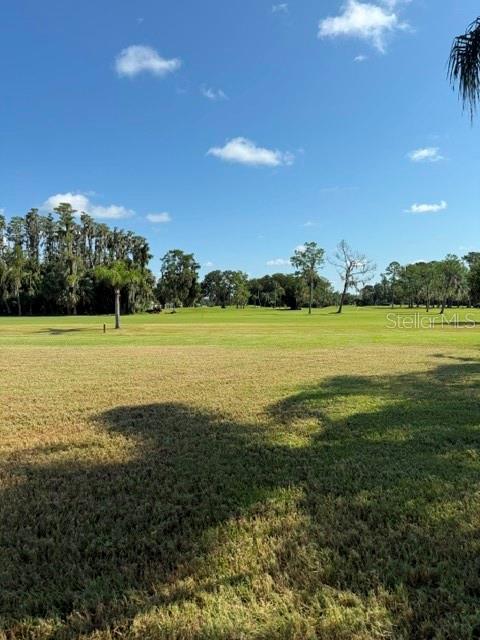 A wide, grassy field stretches toward a line of trees under a blue sky — 3444 TROPHY BOULEVARD, NEW PORT RICHEY, FL
