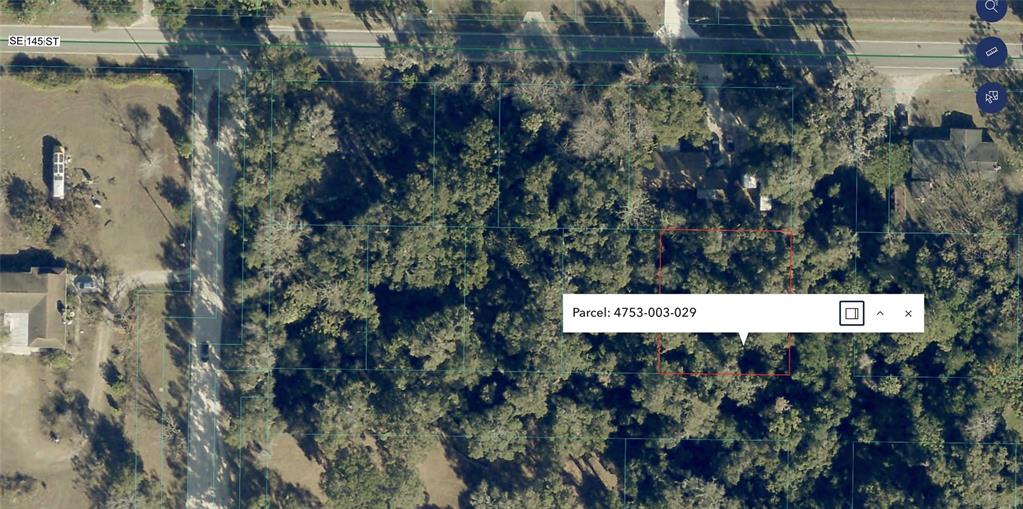SE 145TH PLACE, SUMMERFIELD, FL — photo 4 of 8