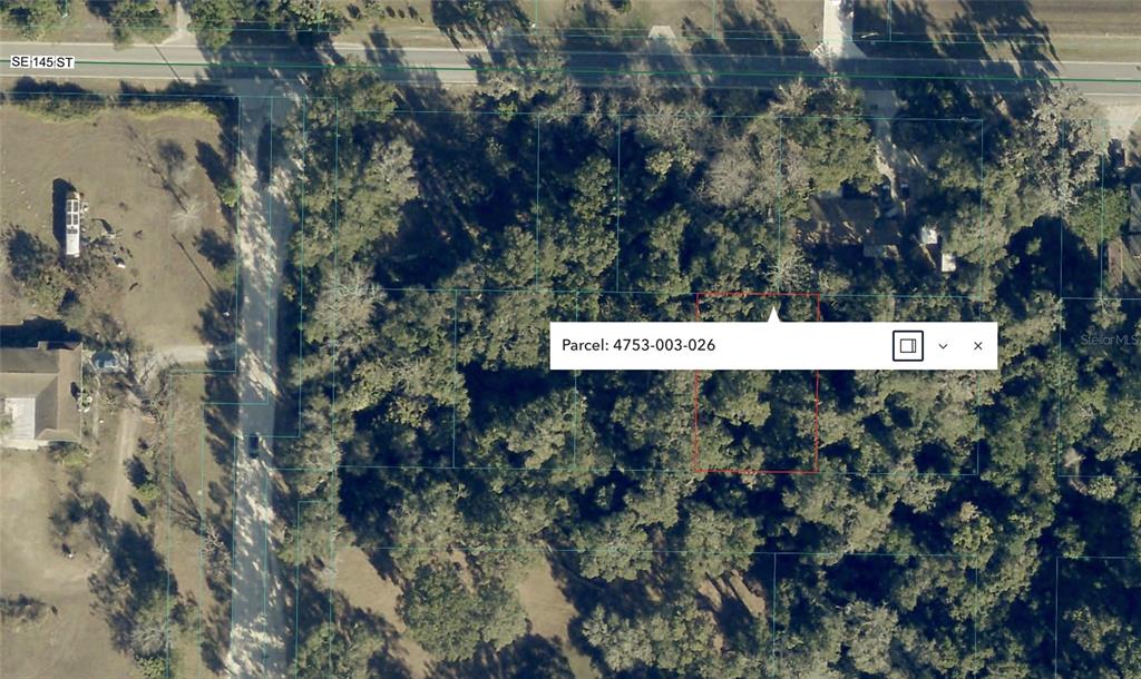 SE 145TH PLACE, SUMMERFIELD, FL — photo 5 of 8