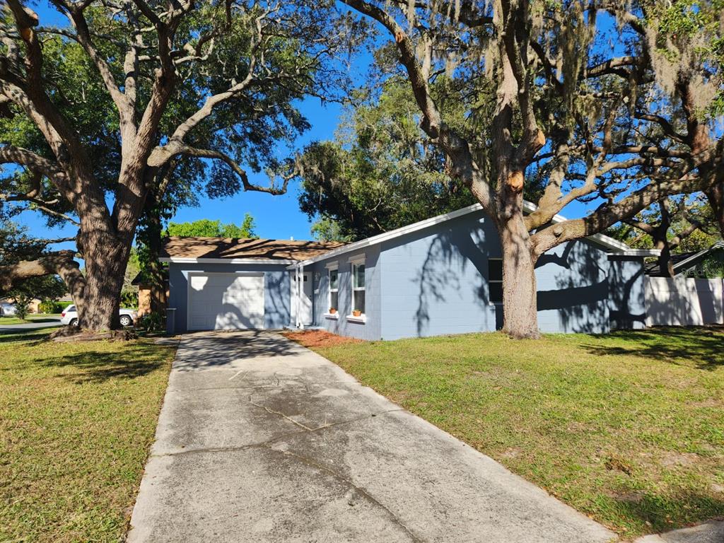 A light blue, single-story house with a concrete driveway and large oak trees in front — 800 DIANE CIRCLE, CASSELBERRY, FL