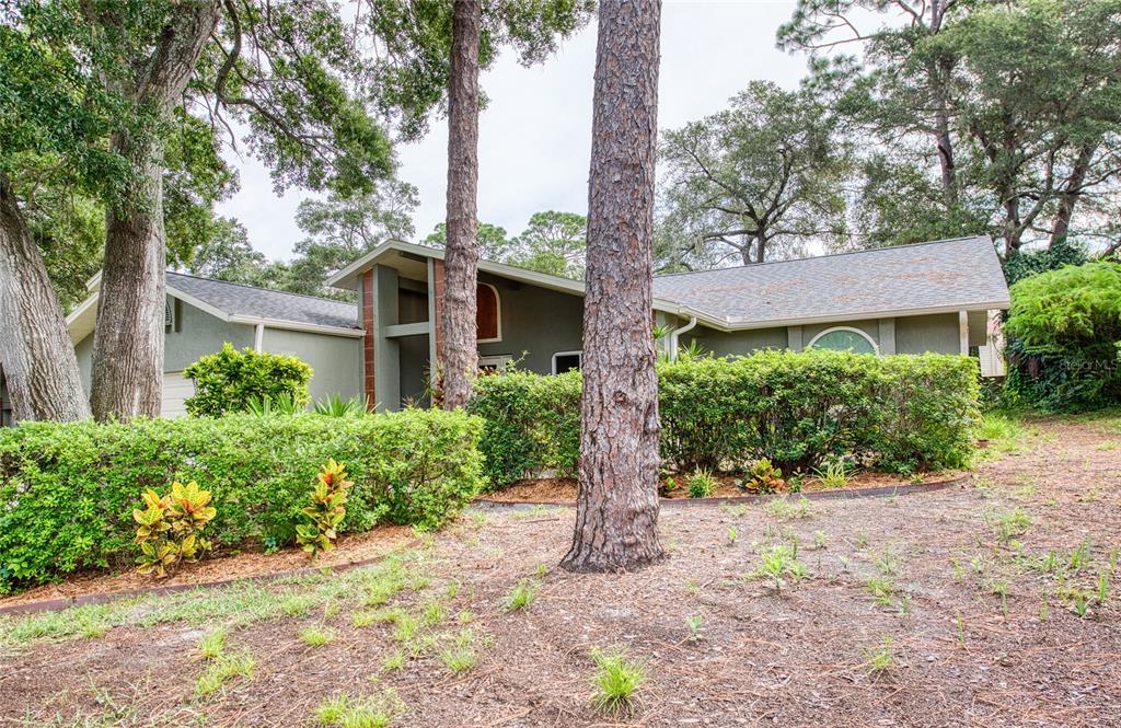 2143 SALISBURY COURT, PALM HARBOR, FL — photo 2 of 30