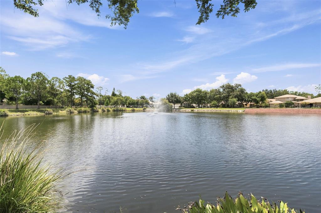 A view of a pond with a fountain surrounded by trees and residential houses — 1469 RIVERDALE DRIVE, OLDSMAR, FL