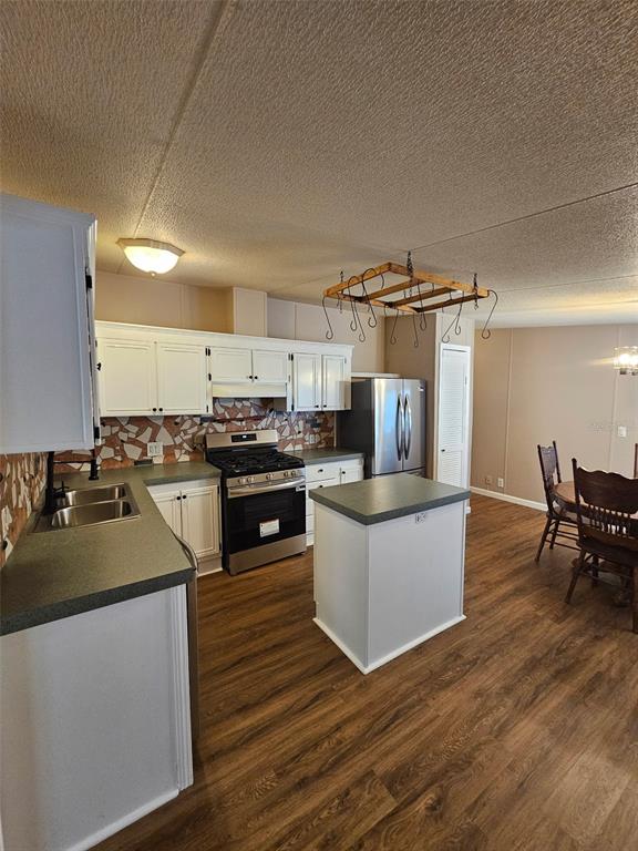 A kitchen features white cabinets, a central island, stainless steel appliances, and wood-look flooring — 5815 N TSALA APOPKA DRIVE, HERNANDO, FL